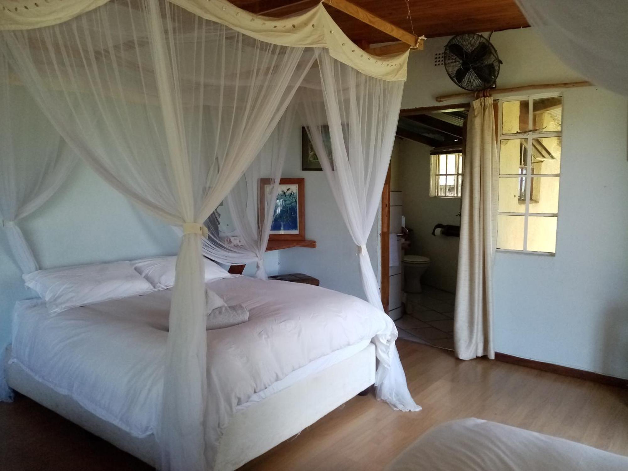 Bushwhacked Barberton Hotel Room photo